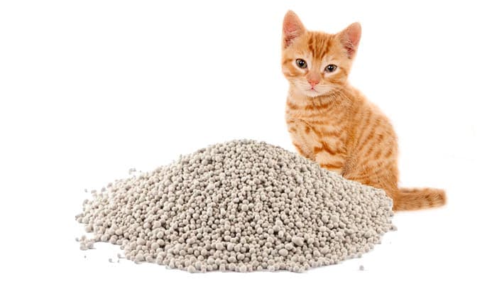 Cat Litter Bentonite Granules