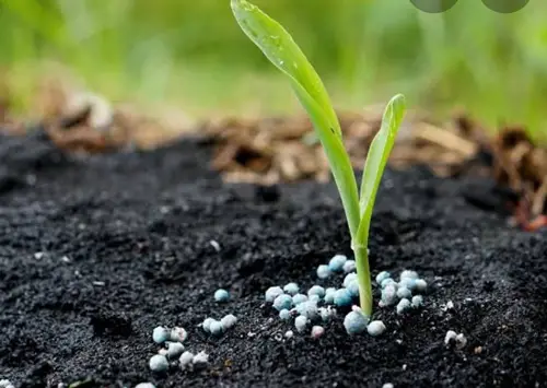 Fertilizers Bentonite